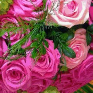 Meet your Posher, Karina